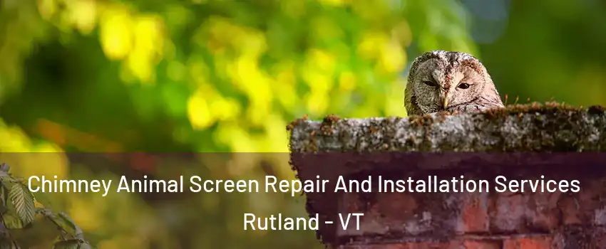 Chimney Animal Screen Repair And Installation Services Rutland - VT